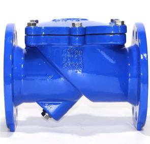 F6 Rubber Disc Check Valve